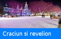 Targul de Craciun si revelion